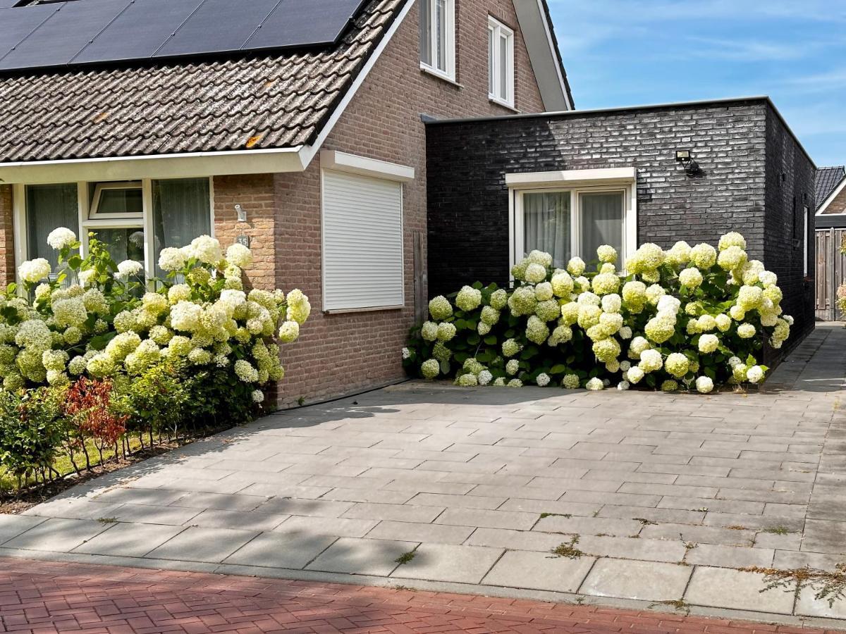 Zoutelande Koddelaan Vakantiewoning Экстерьер фото